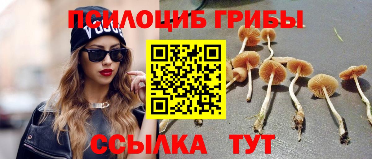 Галлюциногенные грибы ЛСД  Вход с VPN  купить   Дивногорск 