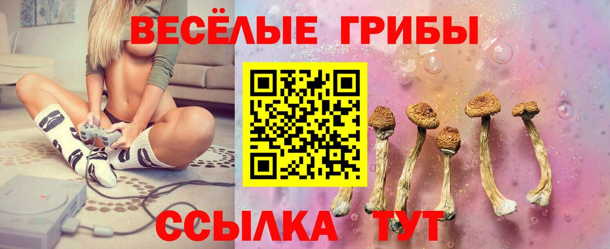 Псилоцибиновые грибы ЛСД Дивногорск
